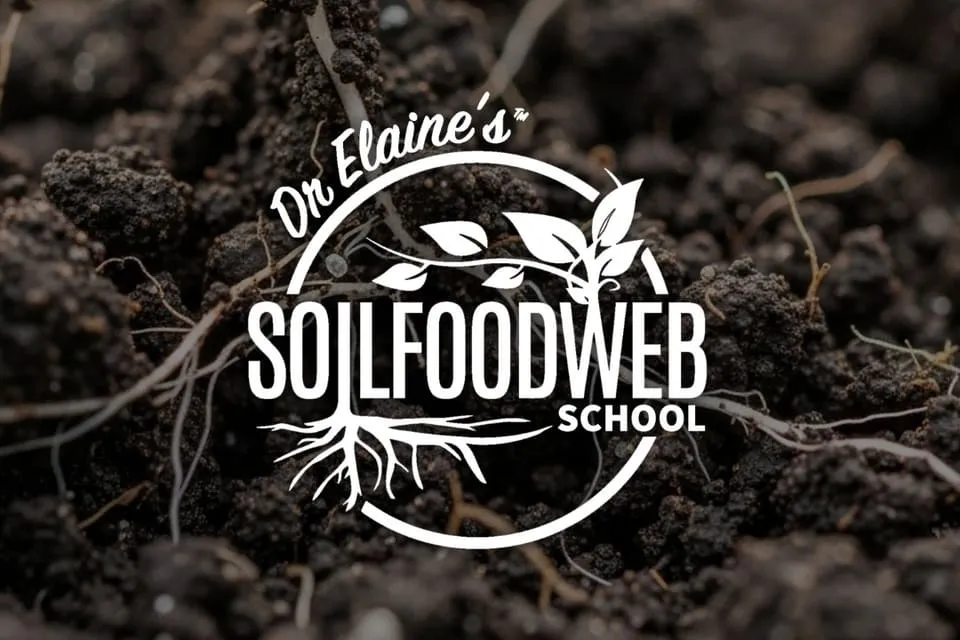 Soil Food Web School design work by Peaceful Media