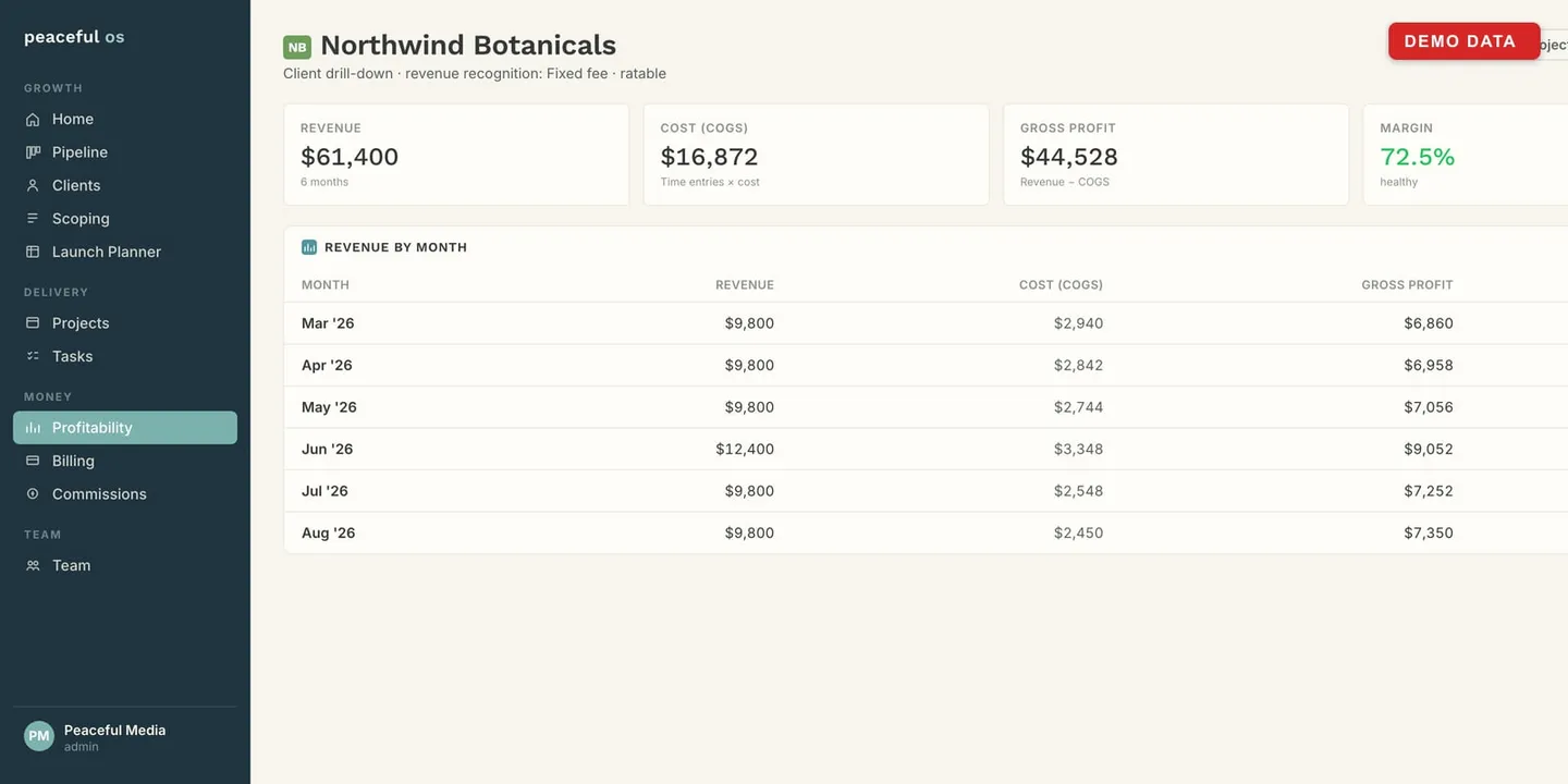 A client drill-down: one client's revenue, cost, gross profit and margin month by month, with a revenue-recognition toggle (all figures are demo data).