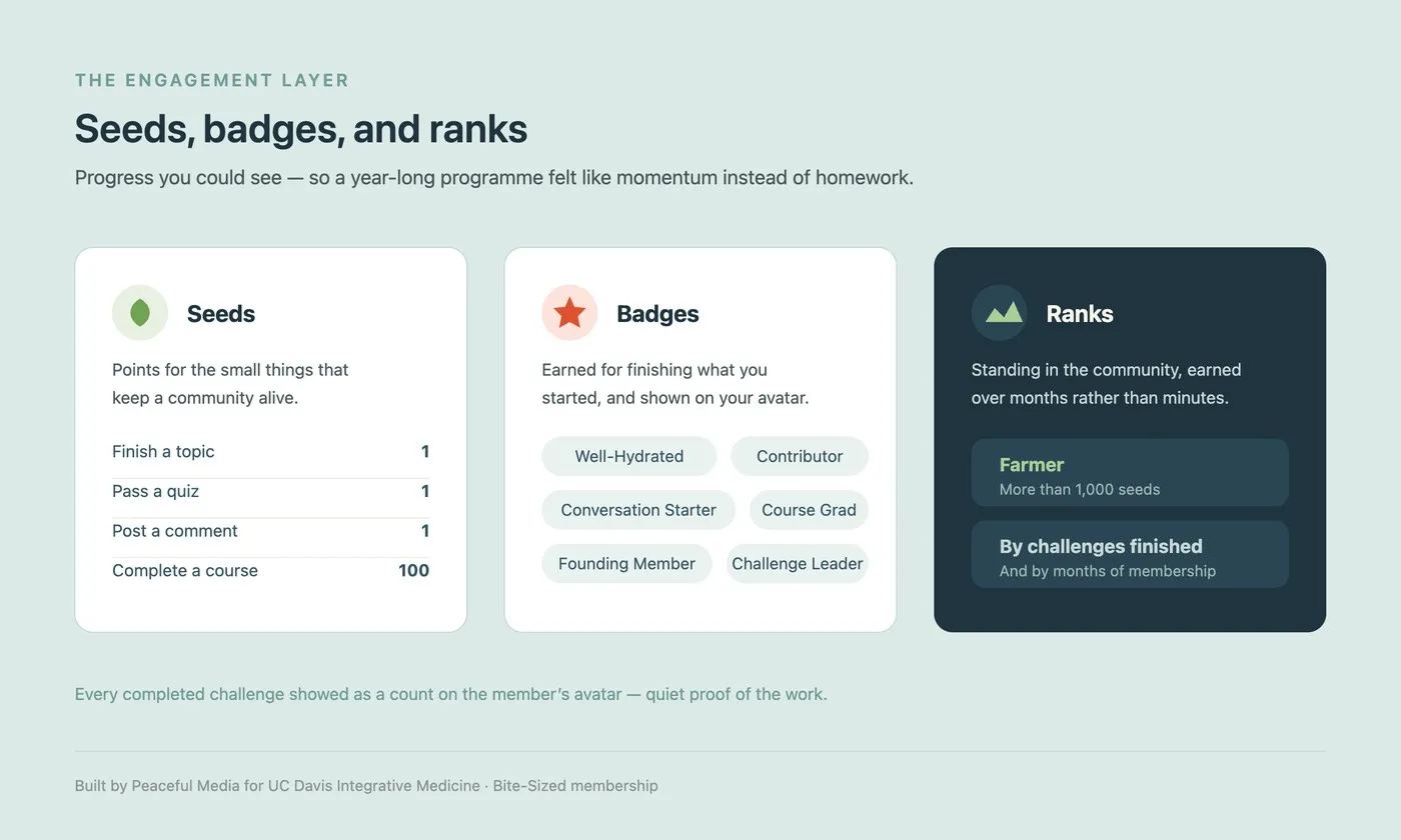 Diagram of the engagement layer: Seeds as points, Badges for finished challenges, and Ranks earned over months of membership