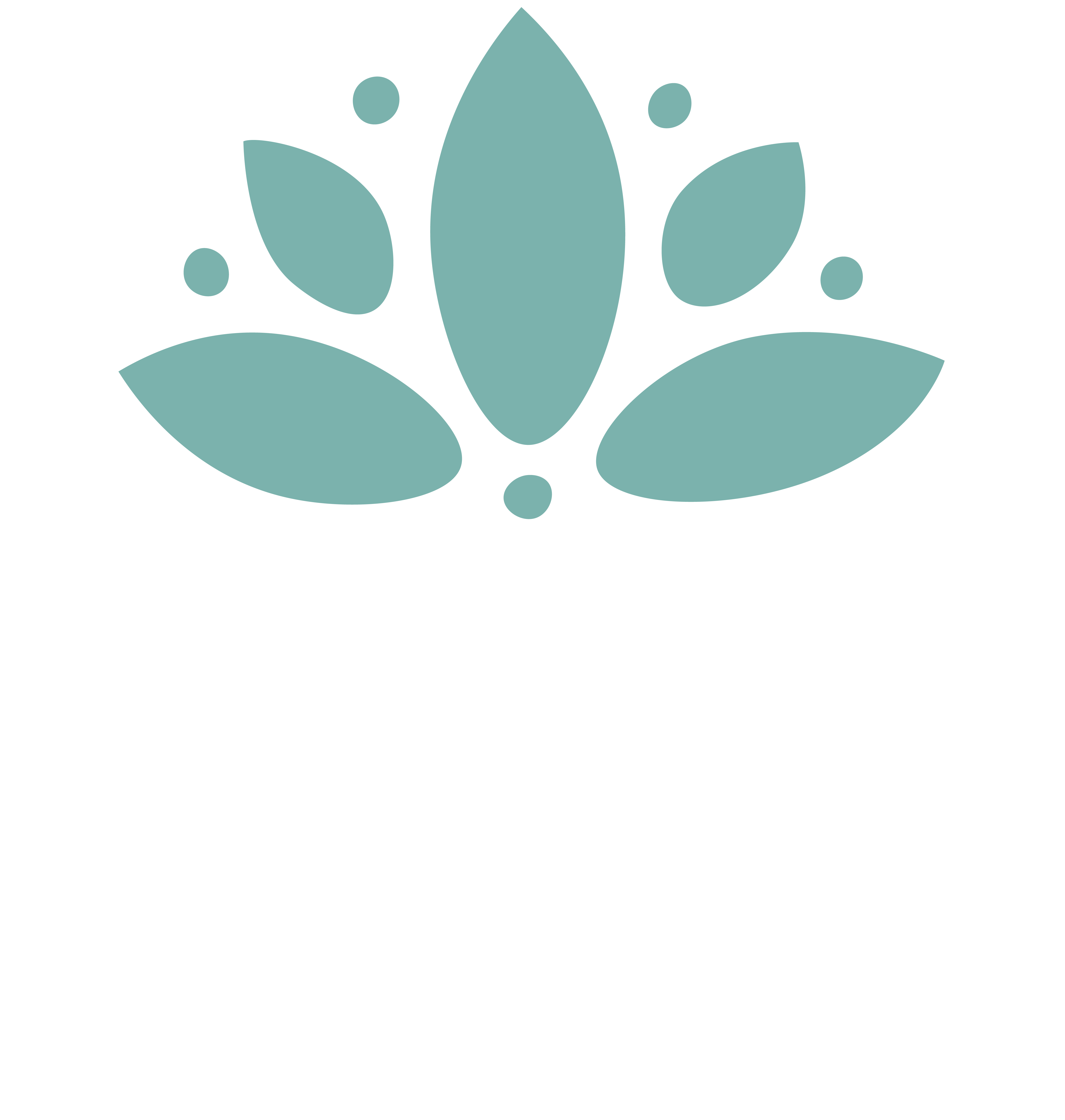 Peaceful Media, Inc