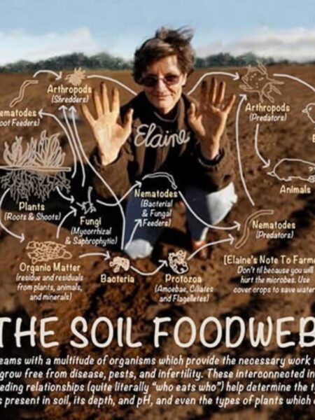 Soil Food Web School marketing agency
